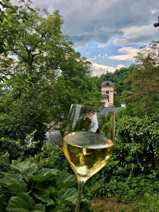 Apartman Franko Banska Stiavnica Bagian luar foto