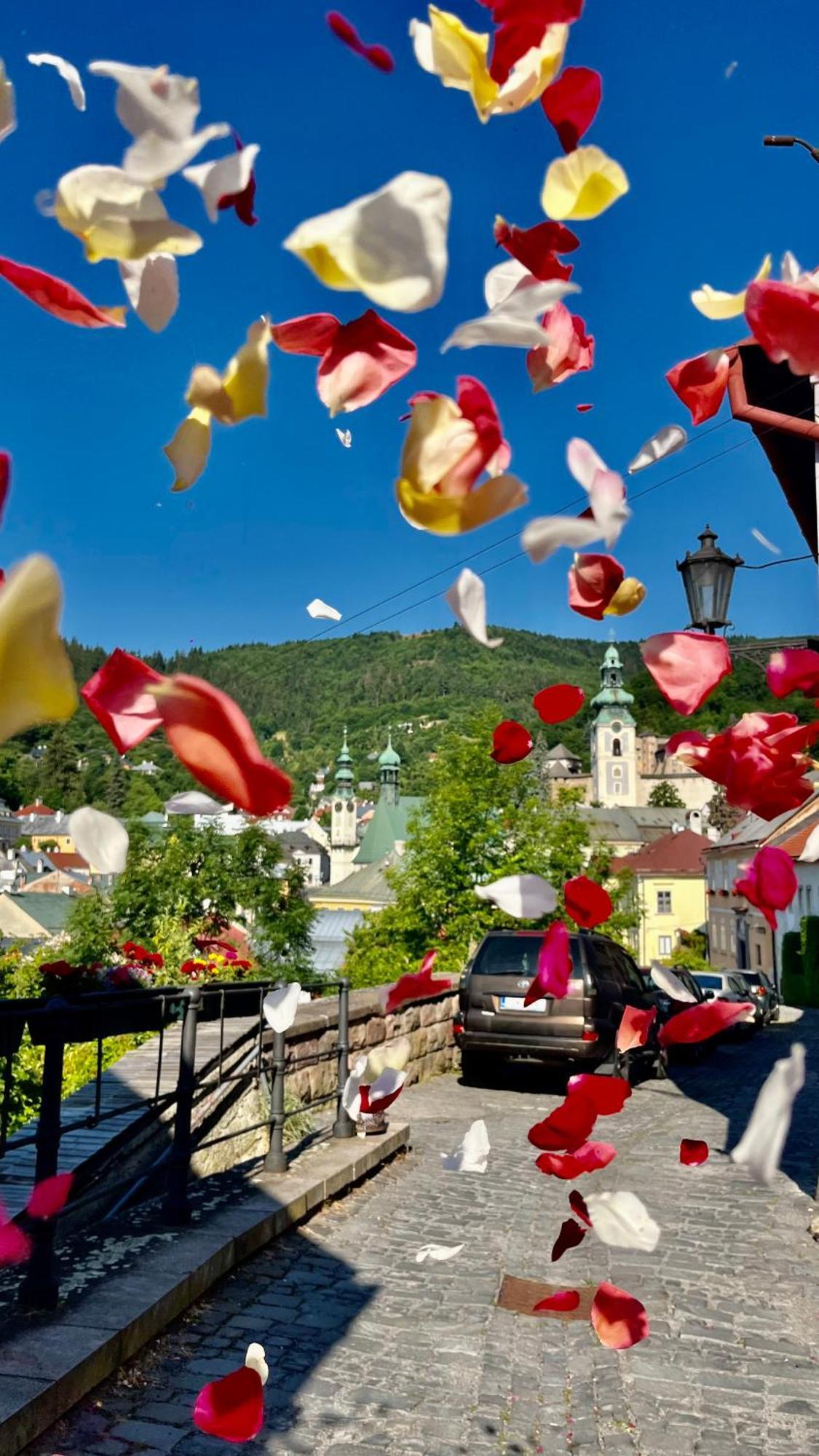 Apartman Franko Banska Stiavnica Bagian luar foto